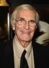 photo Martin Landau (voice)