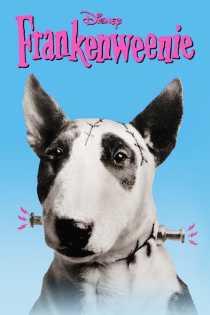 poster Frankenweenie -BR1  (1984)