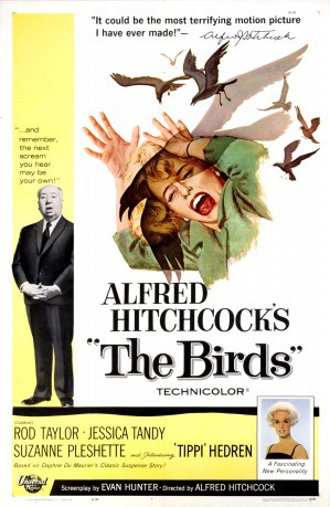 poster The Birds -B3  (1963)