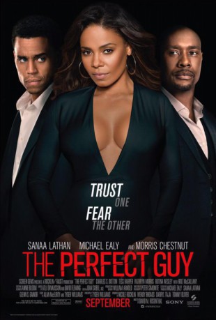 poster The Perfect Guy -BR2  (2015)